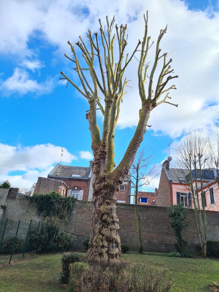 Accès au droit de déchetterie sans payer à Amiens métropole