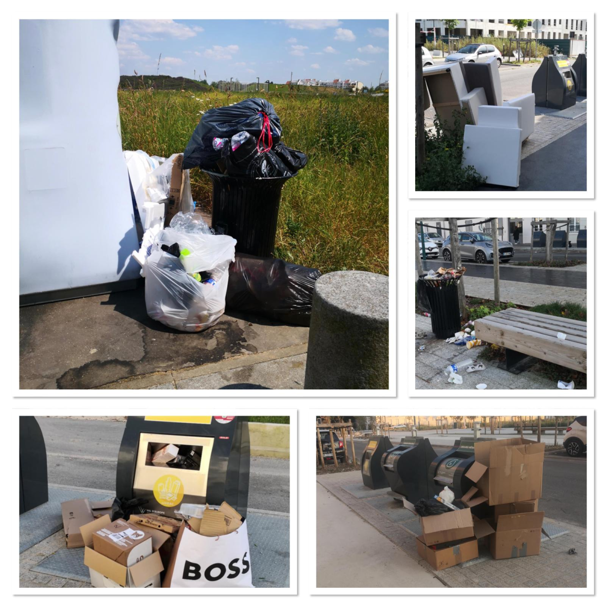 Déchets sauvages Serris